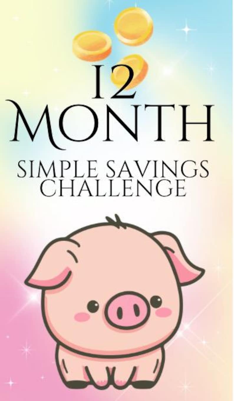 12 Months of Savings Challenge Inserts for Cash Stuffing, Size Fits A6 Budget Binder, Set of 12 Laminated Mini Savings Challenge Trackers